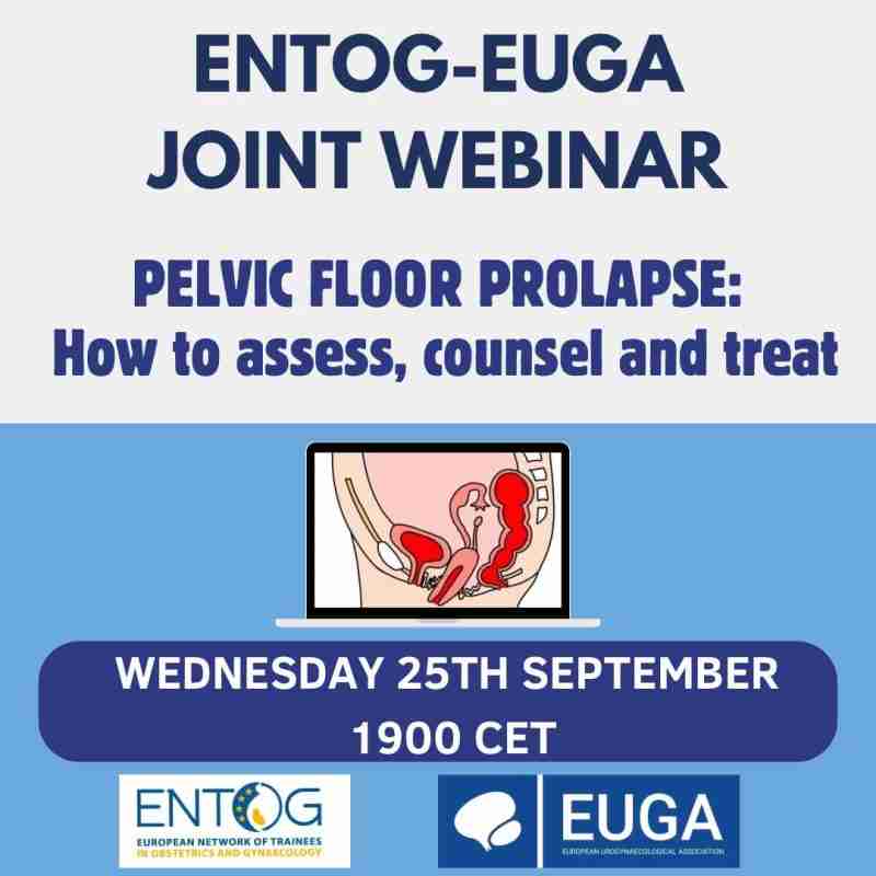 Euga Pelvic Floor Prolapse: “How to Assess, Counsel and Treat” – Euga